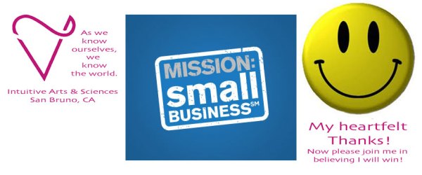 Intuitive Arts & Sciences is in the MIssion Small Business Grant Contest